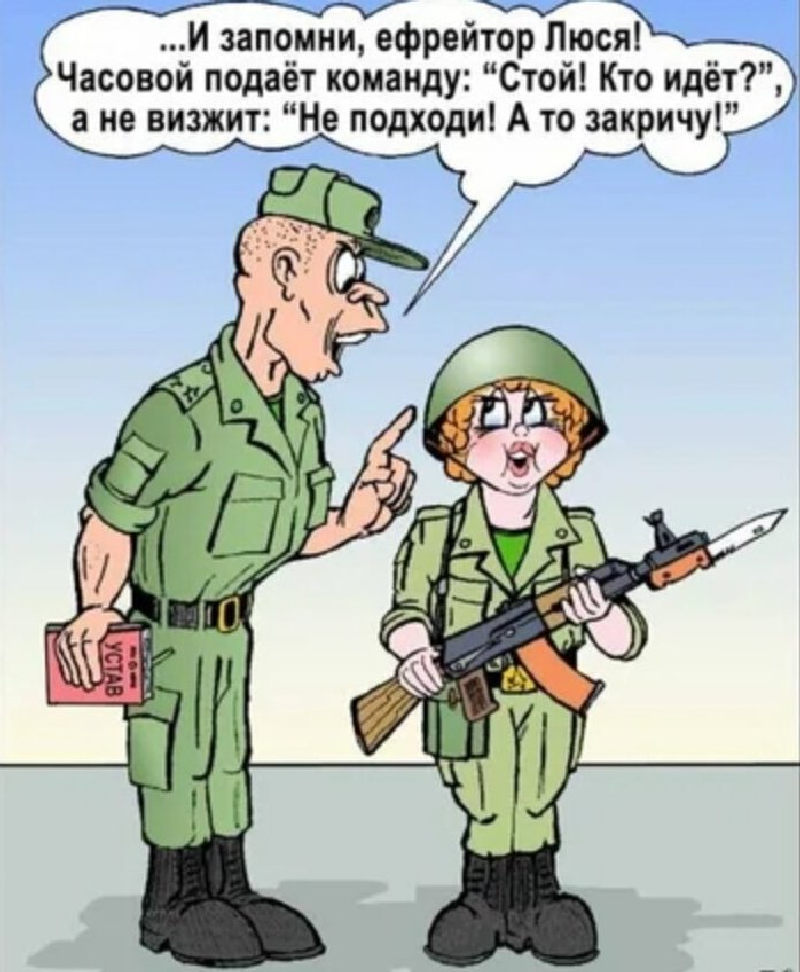 Армейская карикатура про Люсю