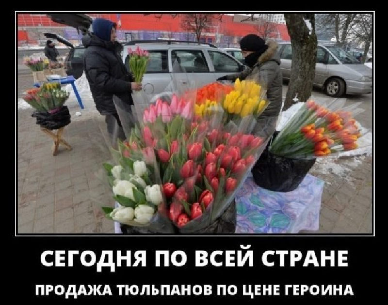 Мем на 8 марта про цветы по цене героина