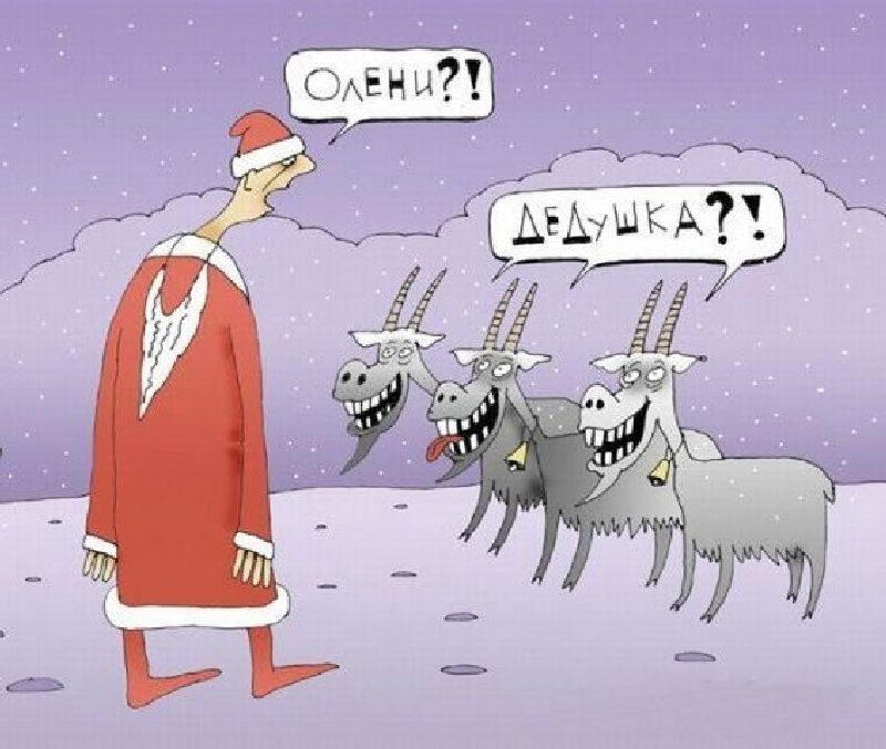 Новогодняя карикатура с оленями и Дедом Морозом