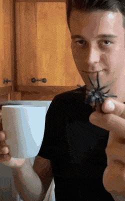Розыгрыш с пауком в чашке
